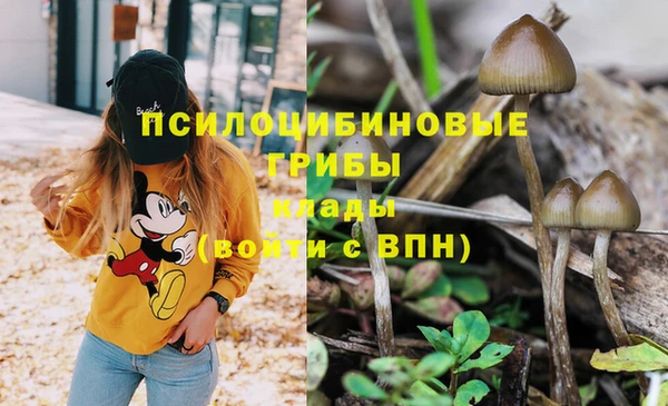 синтетический гашиш Алексин
