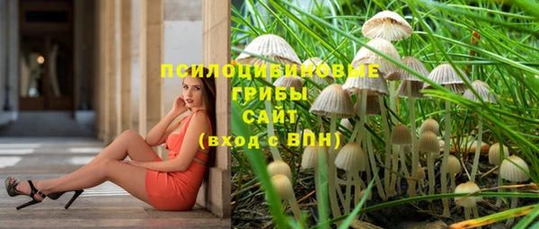 синтетический гашиш Алексин