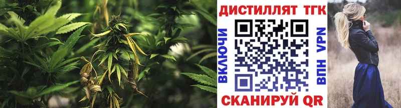 ТГК THC oil  Рошаль 