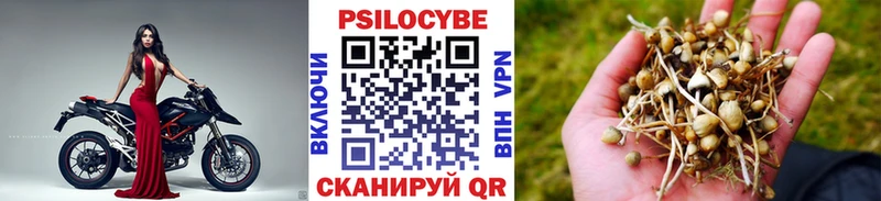 Псилоцибиновые грибы мицелий Рошаль